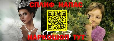 стафф Партизанск