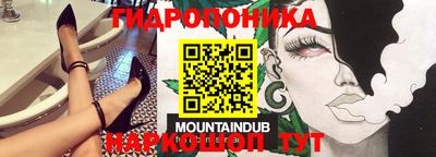 стафф Партизанск