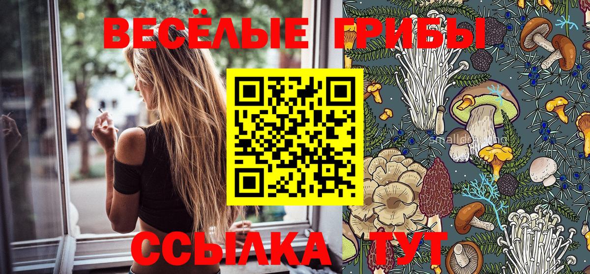Галлюциногенные грибы Psilocybine cubensis Электросталь